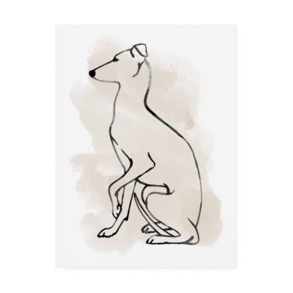 Trademark Fine Art Grace Popp 'Greyhound Sketch II' Canvas Art, 14x19 WAG16519-C1419GG